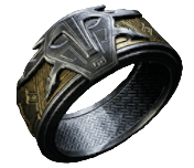 A silver and gold ring with the face of a creature in the front in Remnant 2's DLC The Forgotten Kingdom
