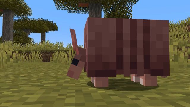 Armadillo in minecraft standing on grass