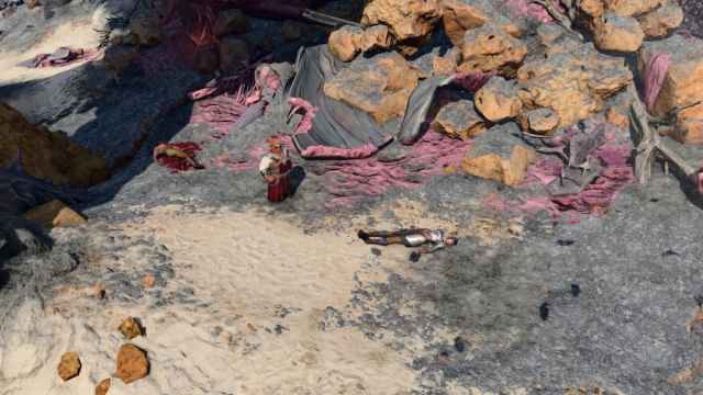 A sandy and rocky beach. On it is a stocky man in a red robe and a woman wearing plate armor with black hair. Guts from a gigantic creature are strewn about in BG3.