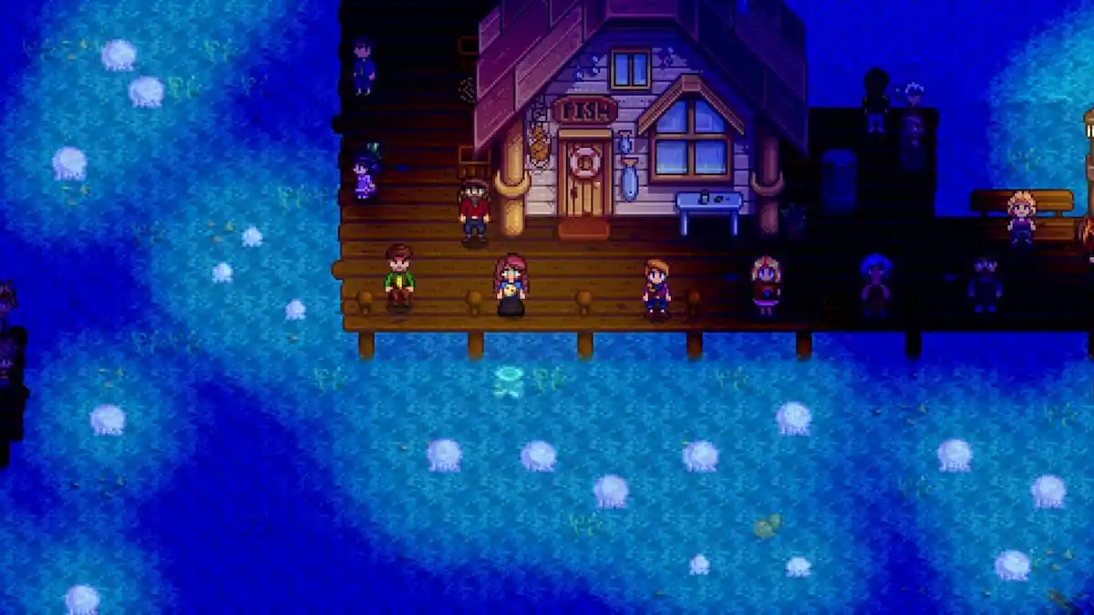 Residents of Pelican Town watching the Dance of the Moonlight Jellies in Stardew Valley.