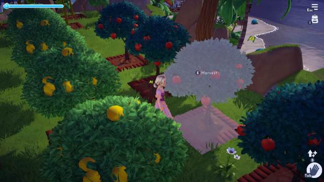 Player is pikcing an Apple from an Apple tree in Disney Dreamlight Valley
