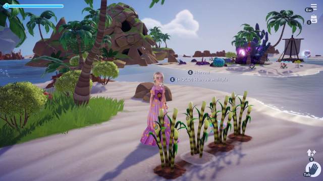 Sugarcanes in Disney Dreamlight Valley are growing on Dazzle Beach