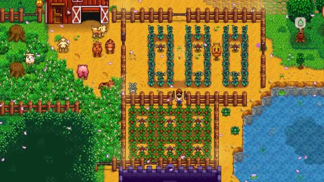 A player standing near planted Strawberries and other crops in Stardew Valley.