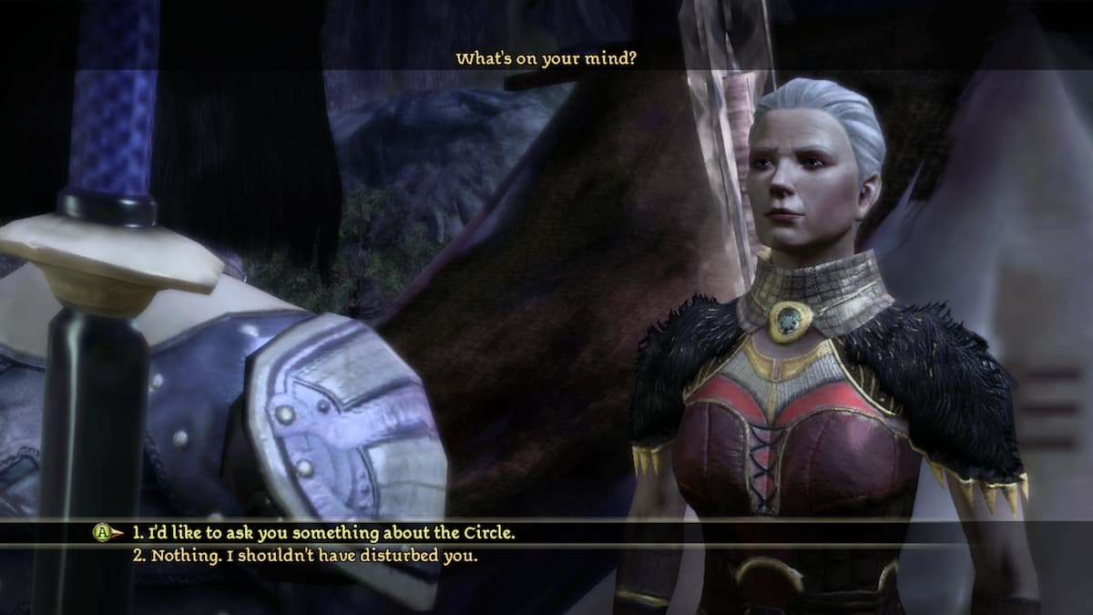 All companions in Dragon Age: Origins, listed