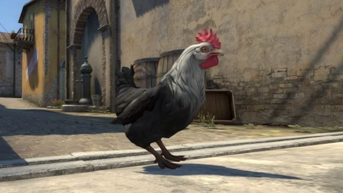 You might be able to pick up CS2’s chickens soon according to leaks