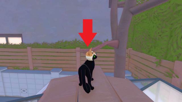 A screenshot from Little Kitty, Big City, showing the location of where tennis ball two would be with a red arrow pointing to a spot in the tree.