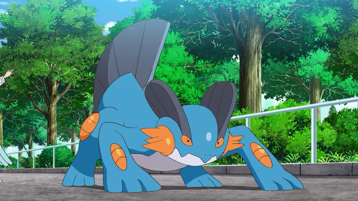 Swampert crouching and ready for battle in the Pokémon anime.