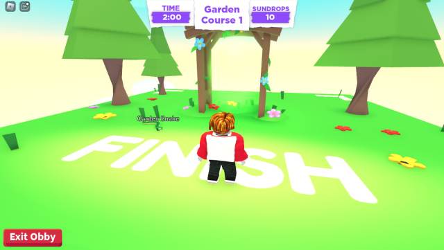 Player completing the Garden Course 1 to get the key.