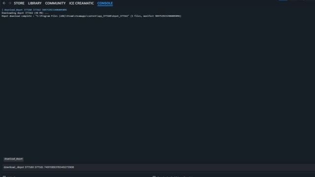 A screenshot of the Steam Console.