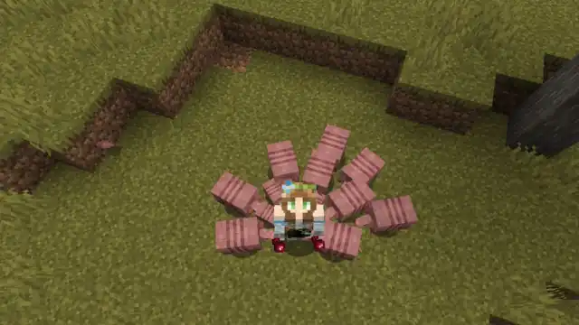 Armadillos following a player holding Spider Eyes in Minecraft.