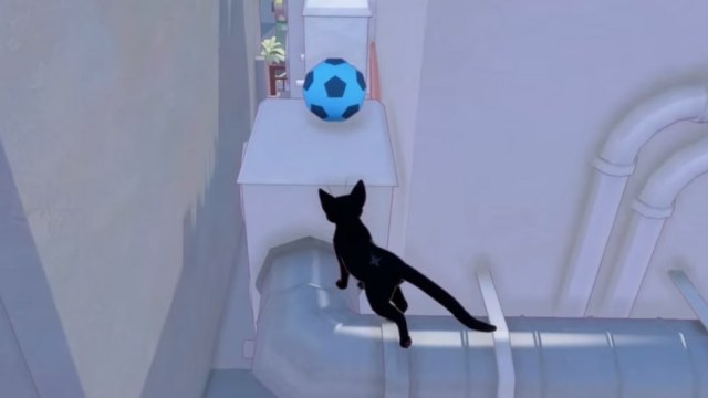 The blue soccer ball in Little Kitty, Big City.