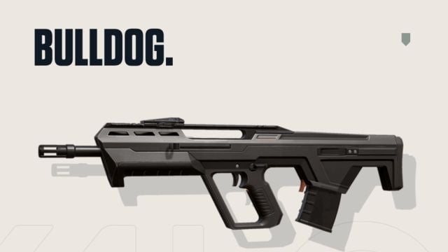 Bulldog rifle in Valorant
