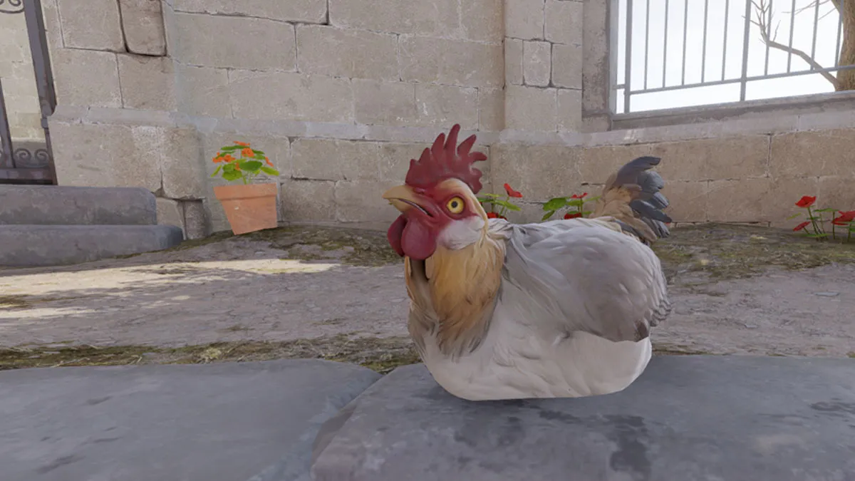 A chicken sitting on the ground in CS2.