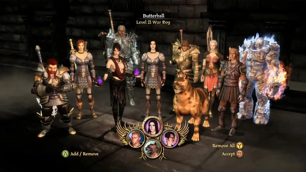 All companions in Dragon Age: Origins, listed