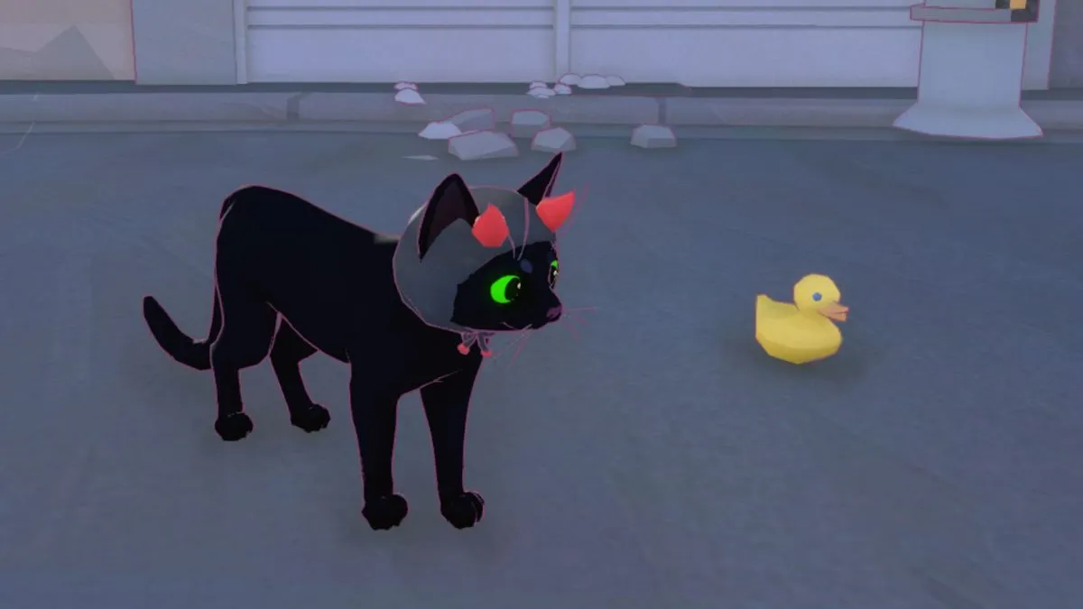 cat and rubber duck in little kitty big city