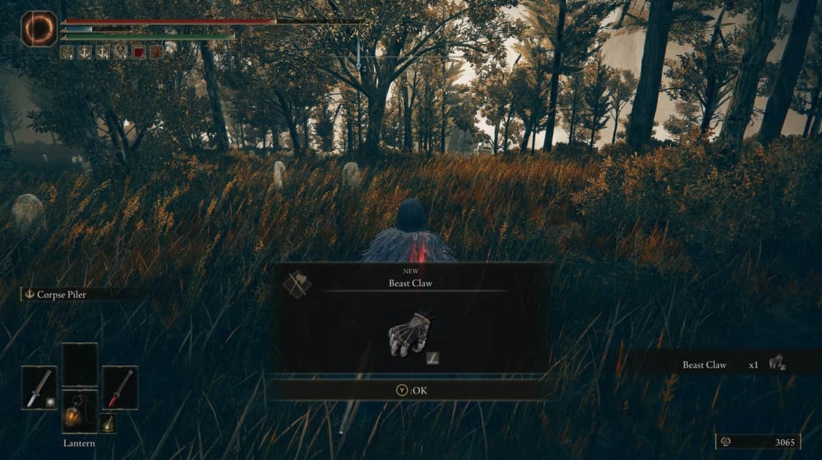 Player character acquiring the Beast Claw weapon standing in a forest in Elden Ring