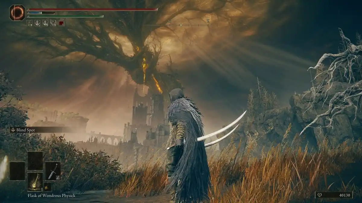 Player character standing with two blades with a tall twisted tree covered in shadow in the background.