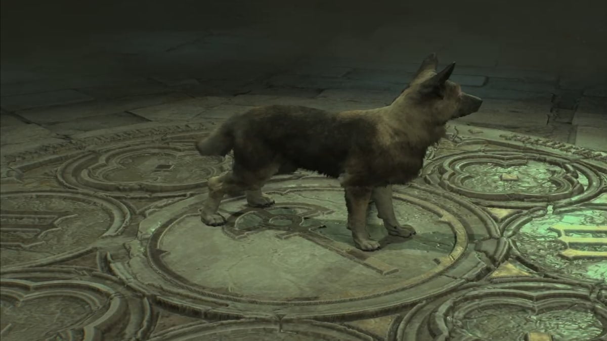 Asheara the Canine pet in Diablo 4.