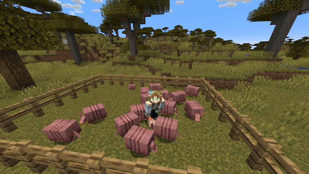 The player surrounded by Armadillos in a pen in Minecraft.