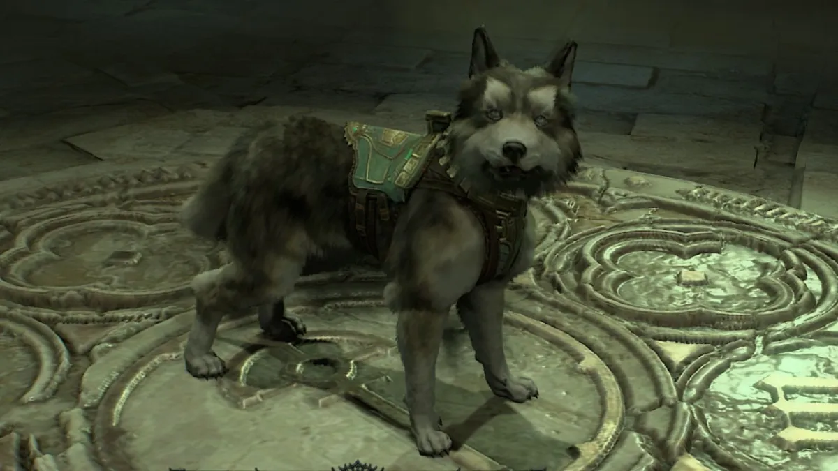Screenshot from Diablo 4 featuring the in-game pet Hratli, a dog wearing ornate armor, standing on a detailed circular stone platform.
