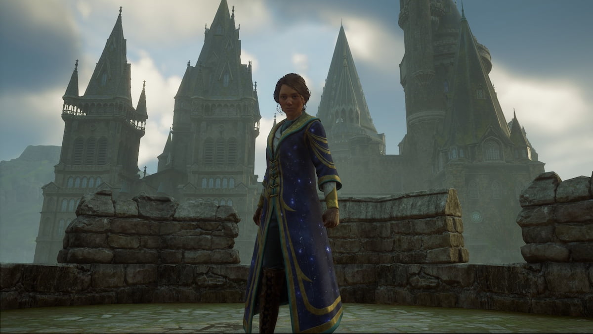 Standing in front of the castle in Hogwarts Legacy.