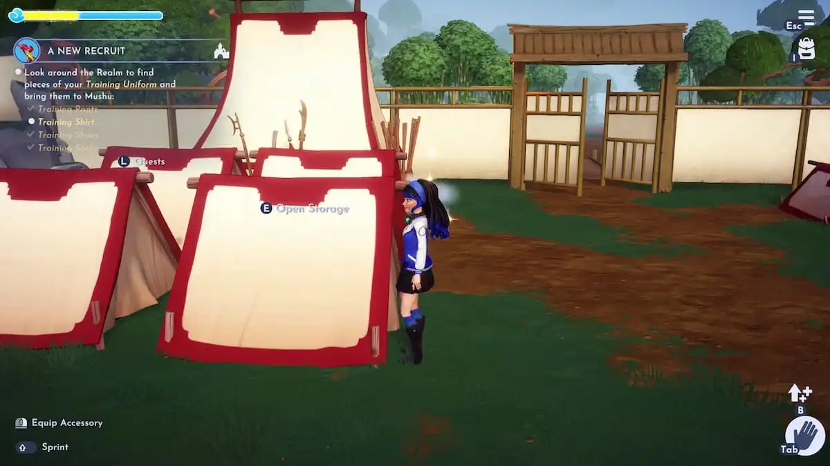 The location of the training shirt in Disney Dreamlight Valley.