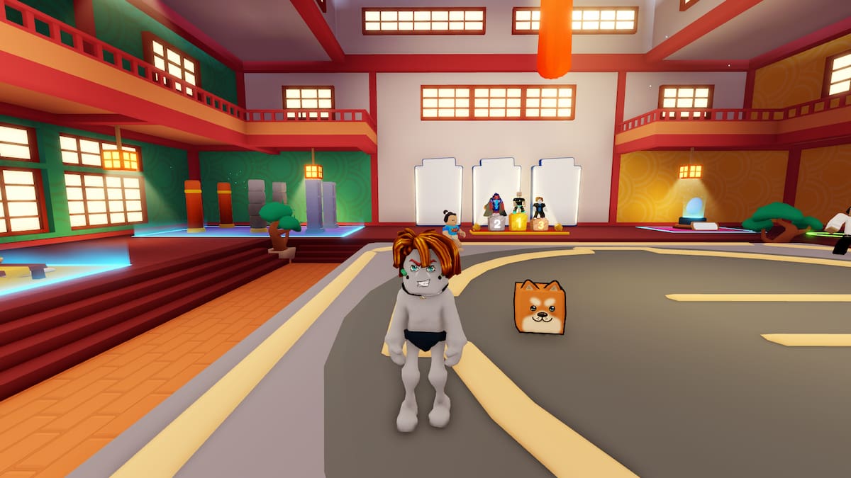 Picture of a player standing in the Roblox's Sumo Wrestling Simulator.