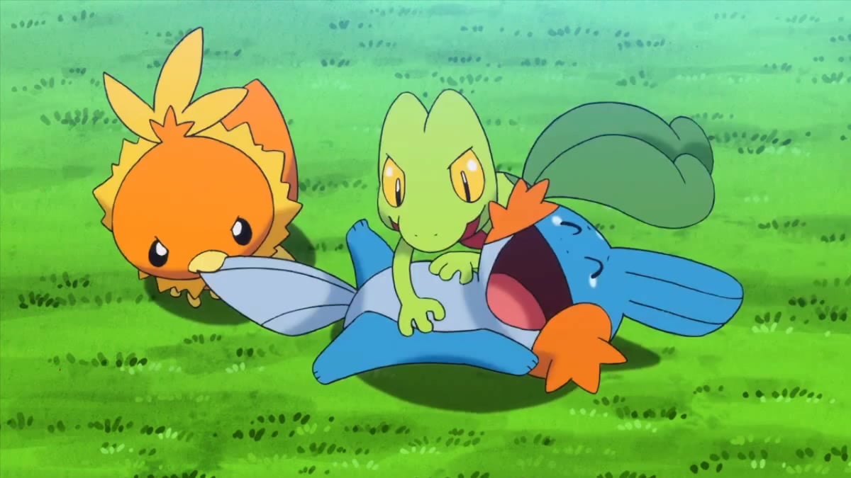 Torchic, Treecko, and Mudkip playing together in the Pokémon anime.