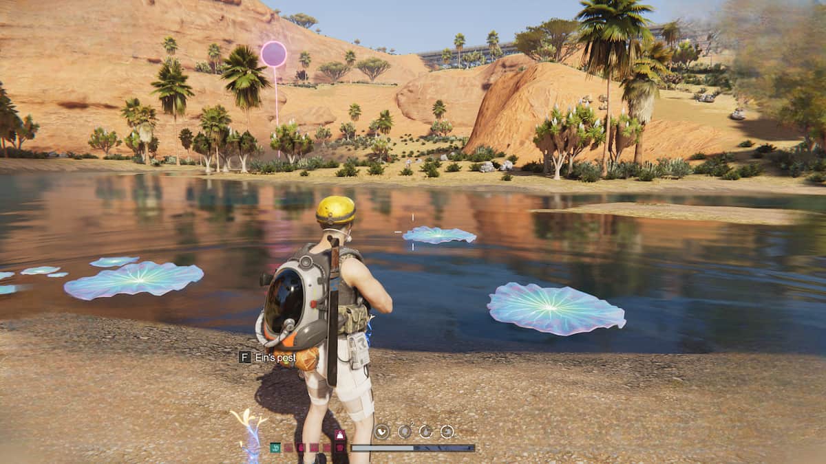 Picture of the player standing in front of the waterlily pads to complete the challenge and get Legendary Extended Rifle Mag in Once Human.