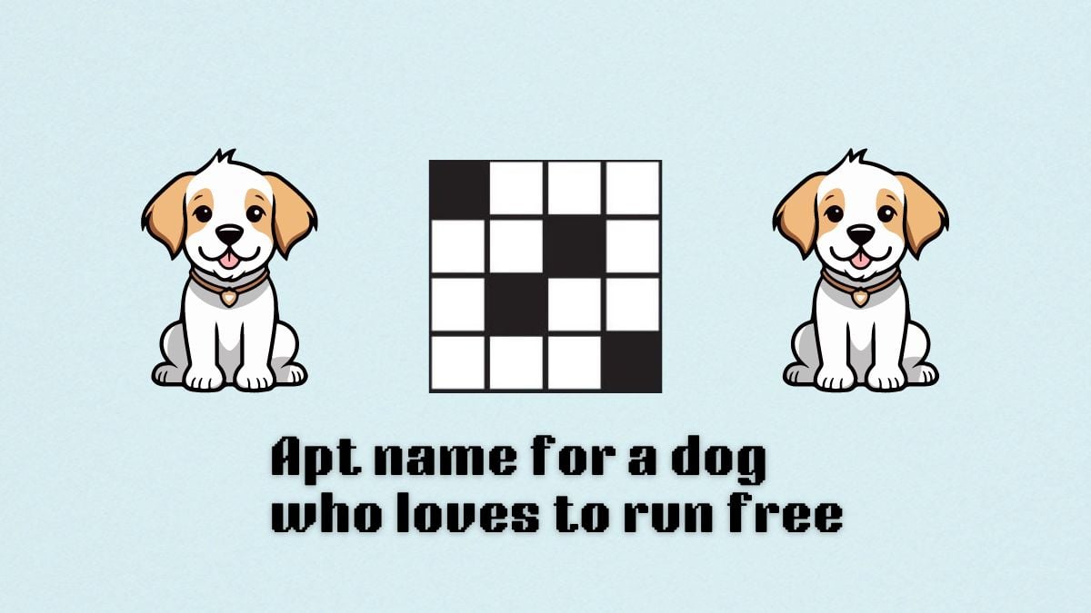 nyt mini clue for apt dog who loves to run free