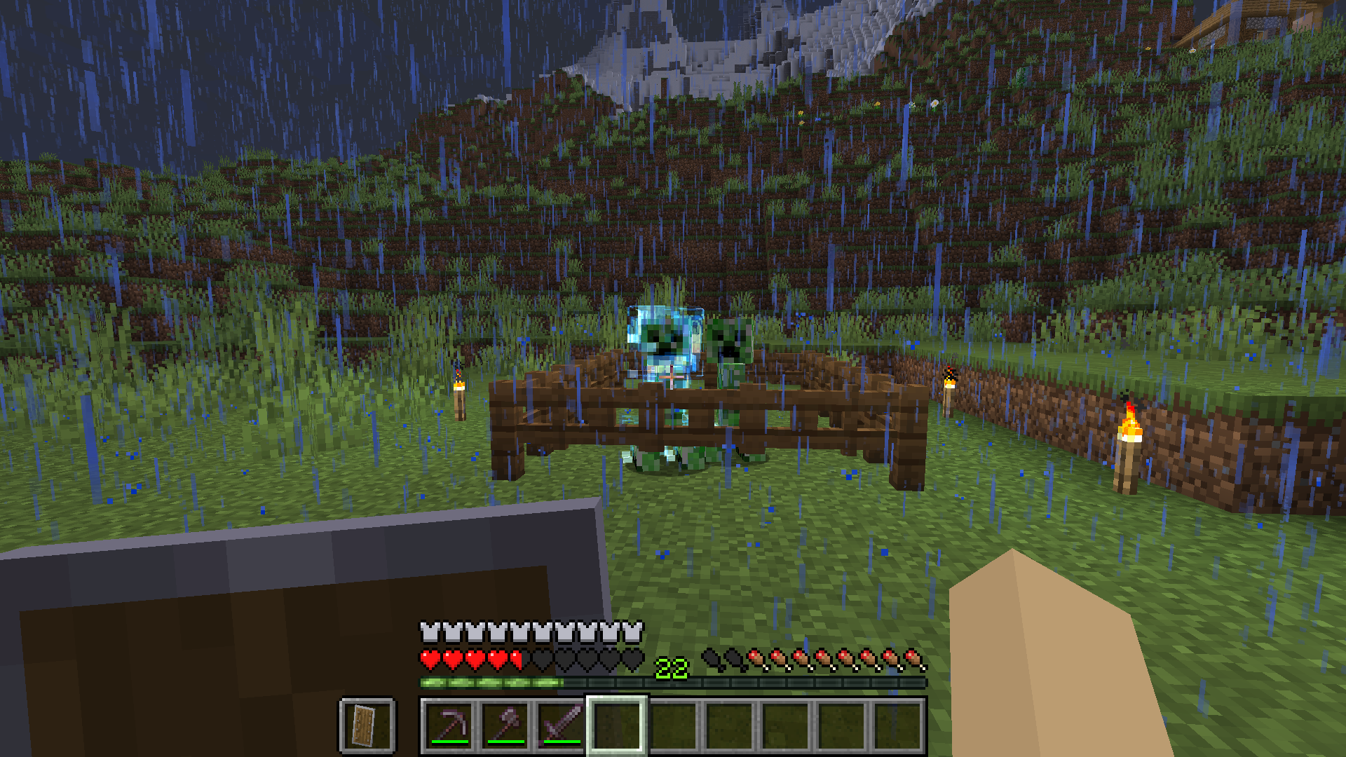 Image of a Charged Creeper and a normal Creeper fenced in.
