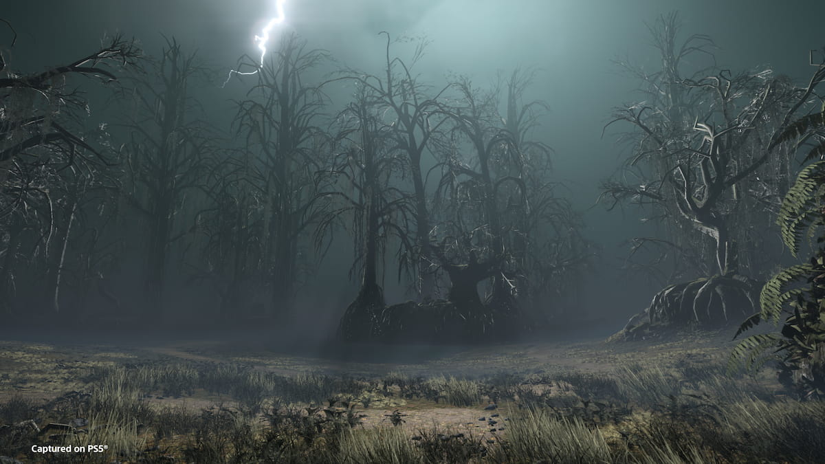 Dark swamp environment in Helldivers 2