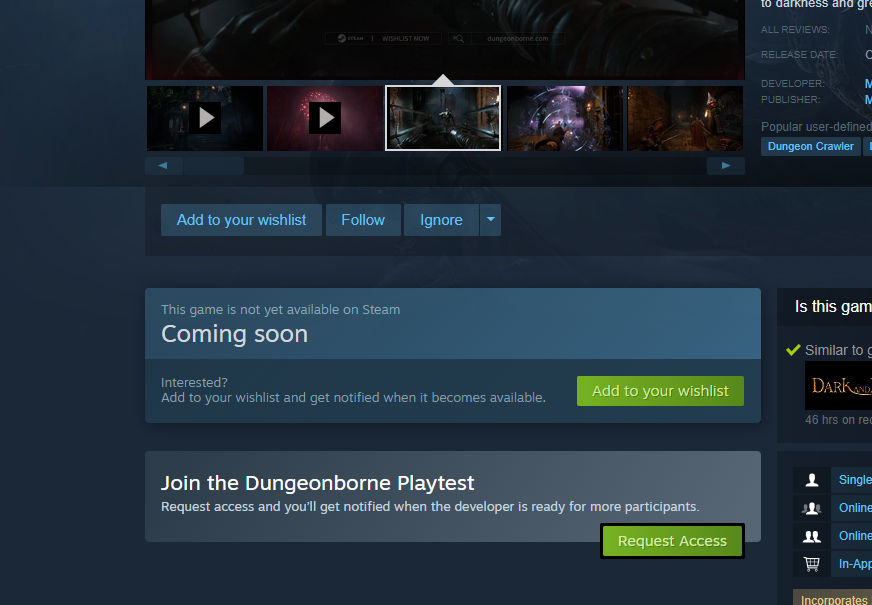 steam playtest button for dungeonborne