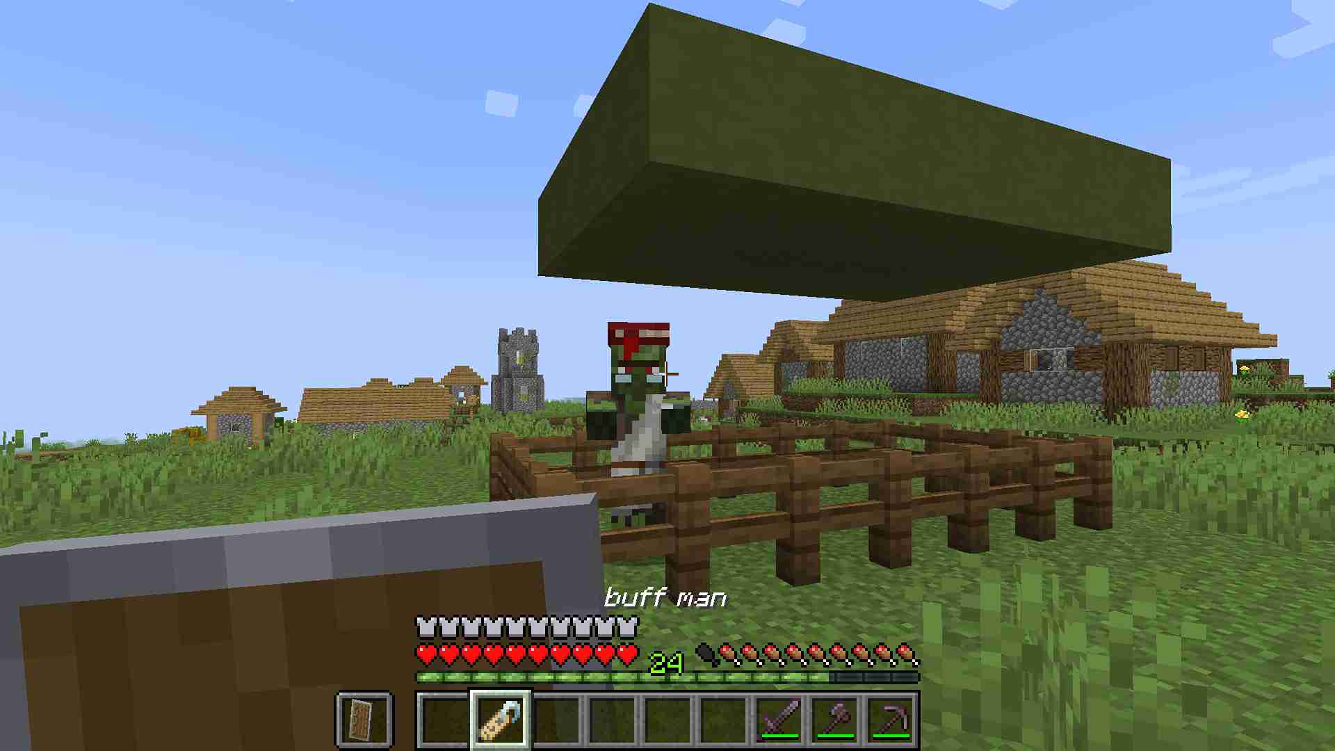 Image of a Villager Zombie in an enclosure with the player holding a nametag with the name "buff man".