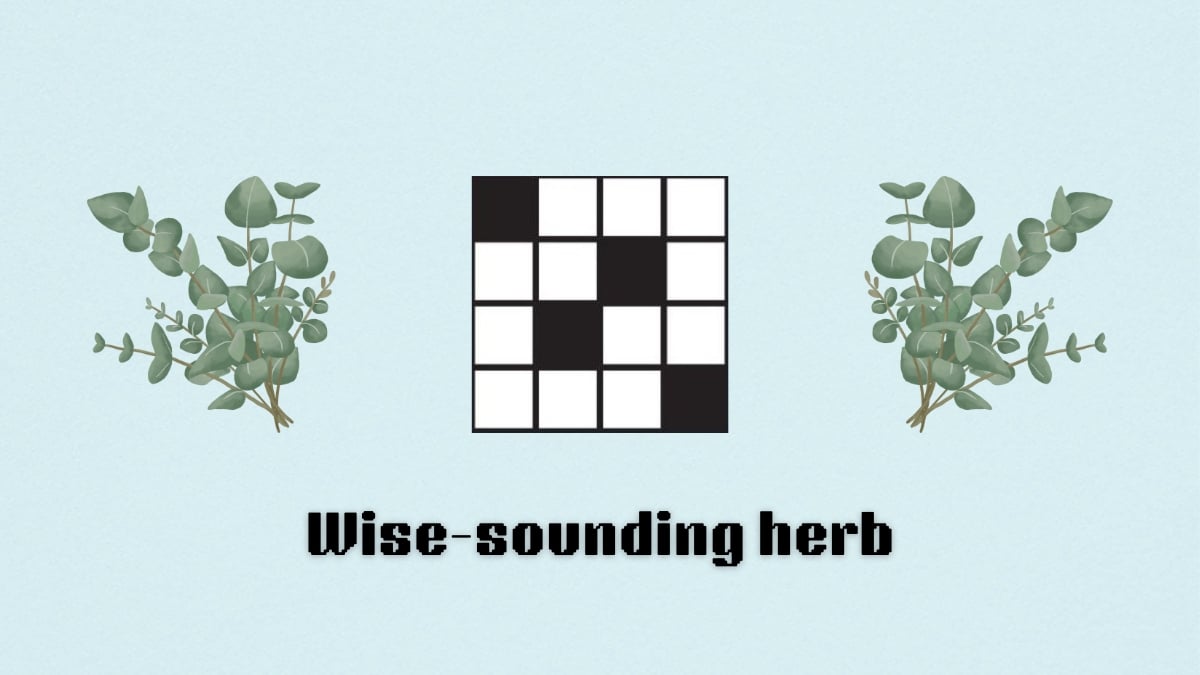 wise sounding herb nyt mini crossword