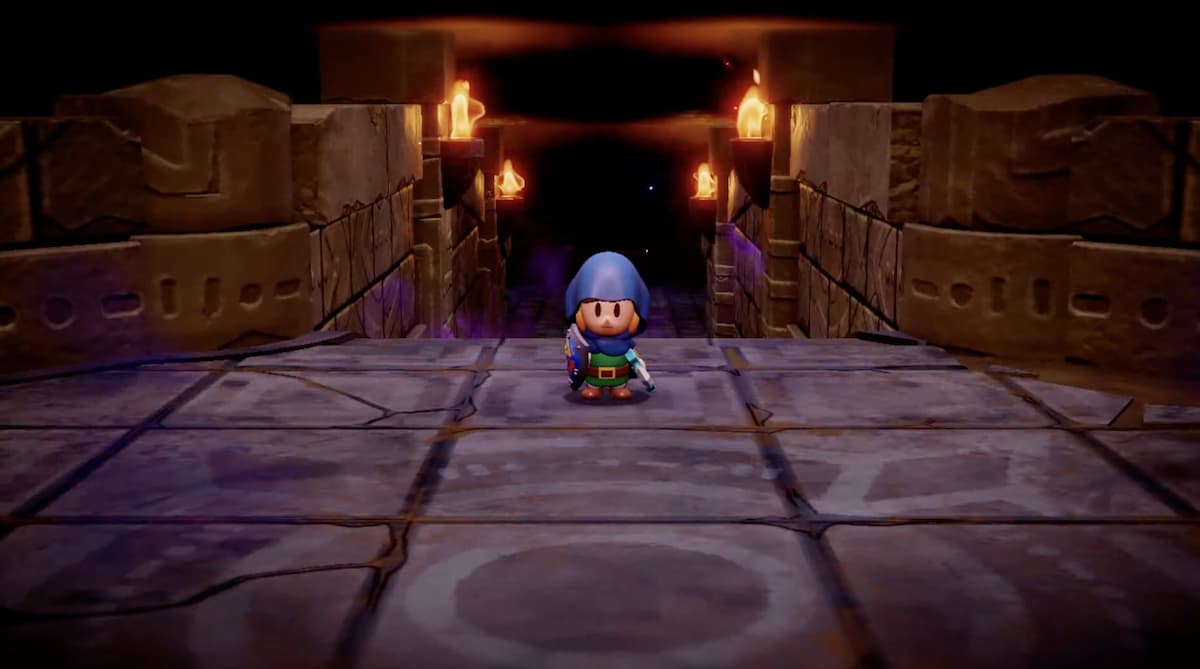Zelda in a dungeon