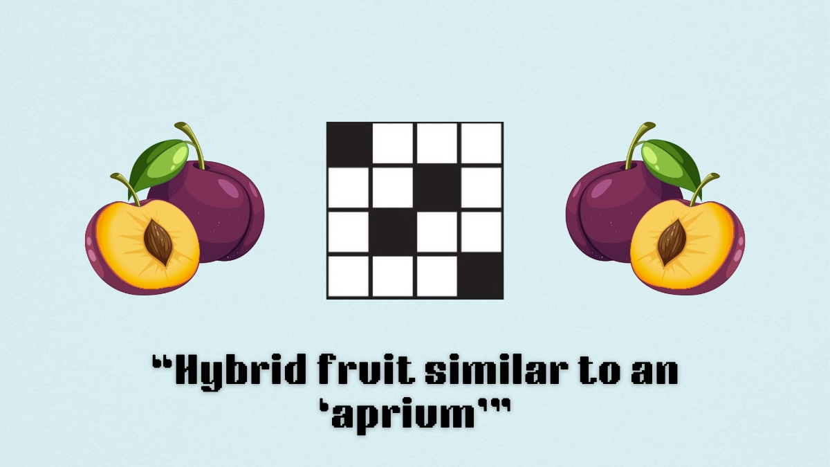 'Hybrid fruit similar to an 