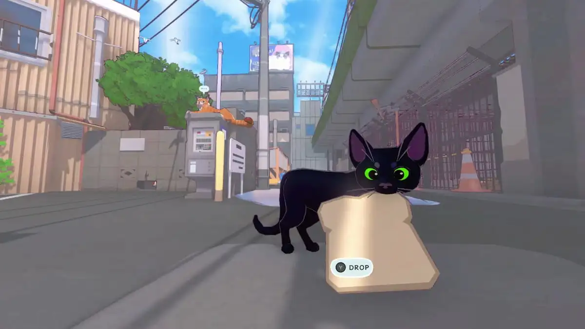 The 9 best cat games