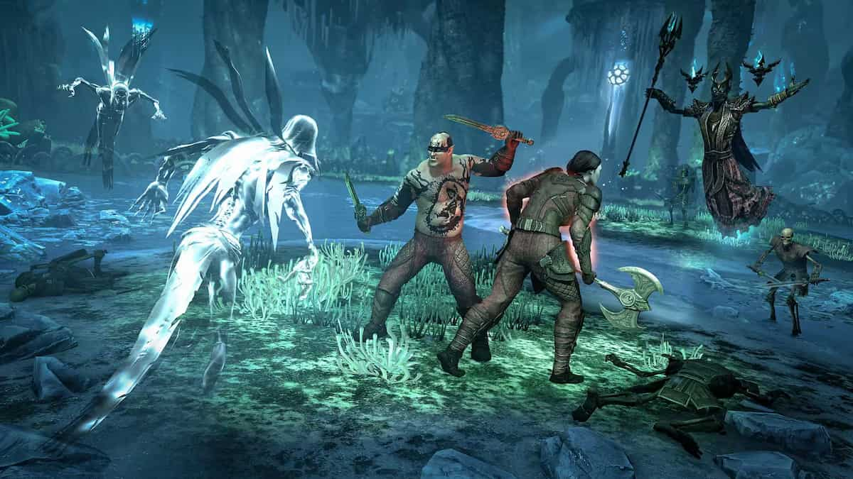 Two ESO players fighting monsters.