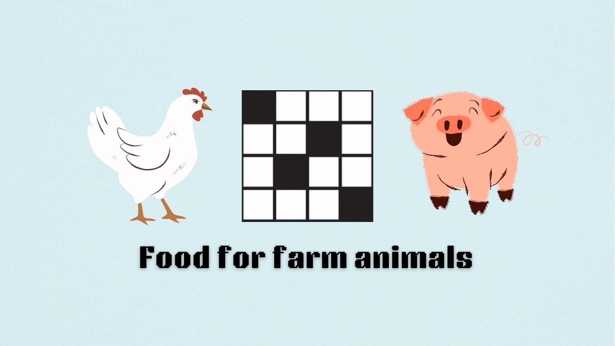 ‘Food for farm animals’ NYT Mini Crossword clue answer and hints