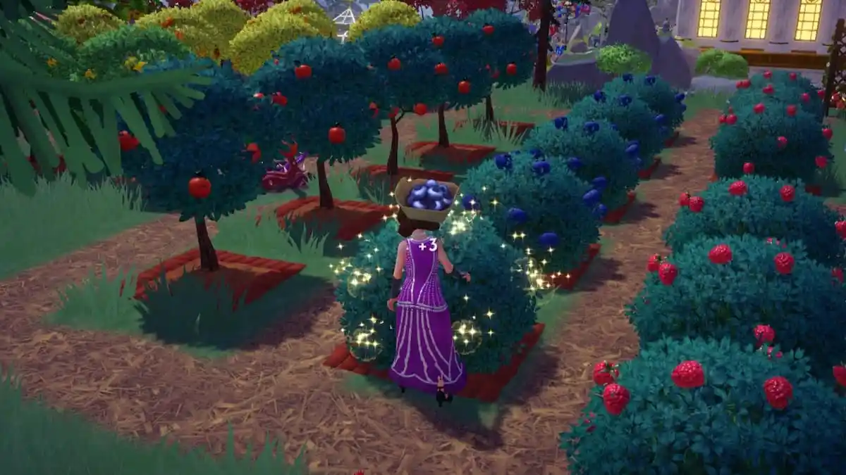 How to pick berries from the beach in Disney Dreamlight Valley