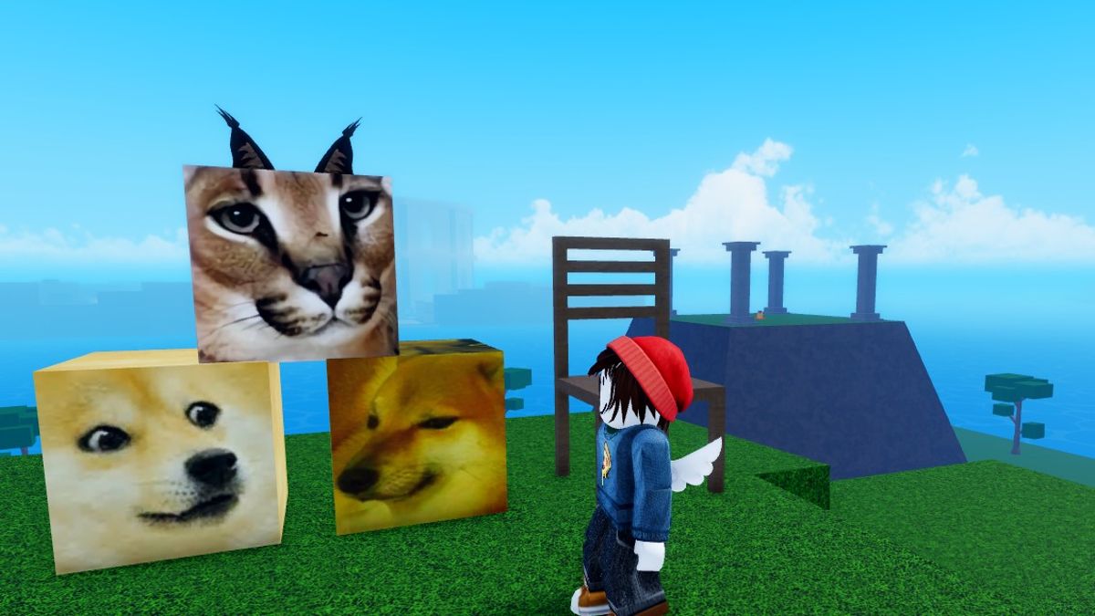 Bird race character in Meme Sea standing next to blocks of Doge and cat memes