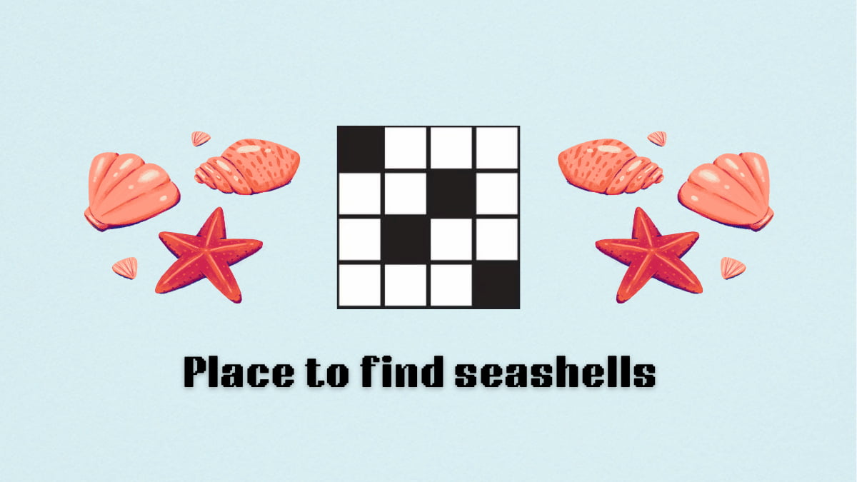 ‘Place to find seashells’ NYT Mini Crossword clue answer and hints