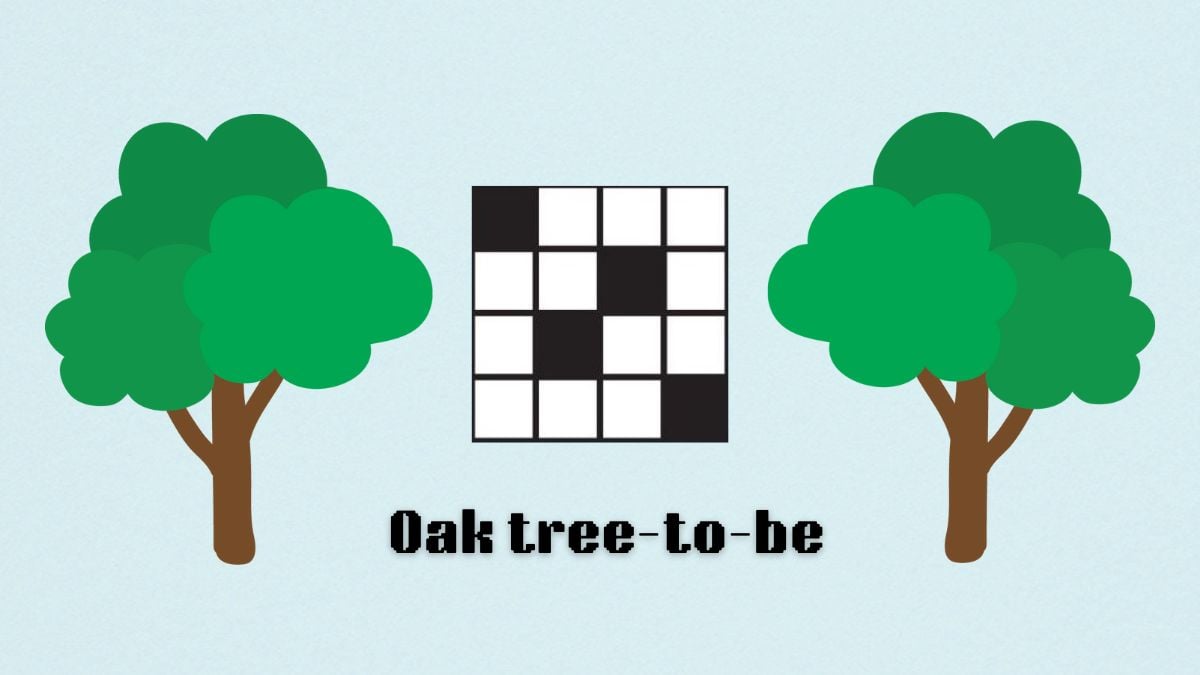 ‘Oak tree-to-be’ NYT Mini Crossword clue answer Aug. 9