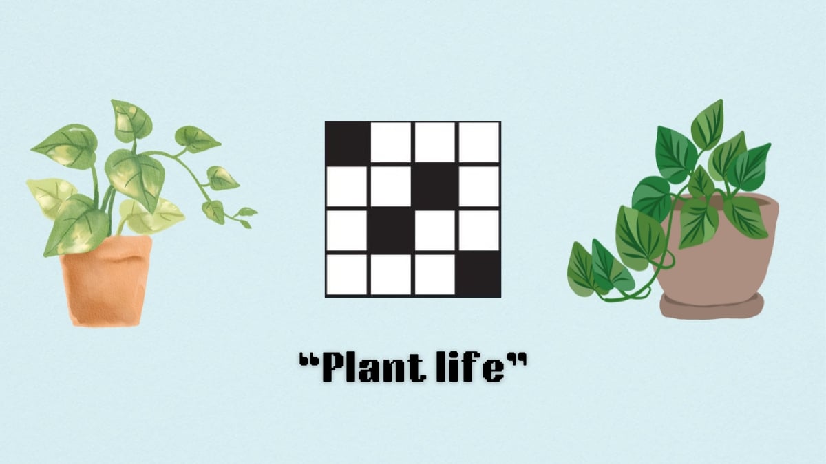 ‘Plant life’ NYT Mini Crossword clue Aug. 12 answer and hints