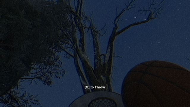 Looking up at the tree with the basketball hoop visible at the bottom, holding the basketball in right hand