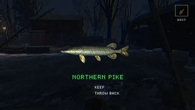 A caught Northern Pike with keep or throw back options