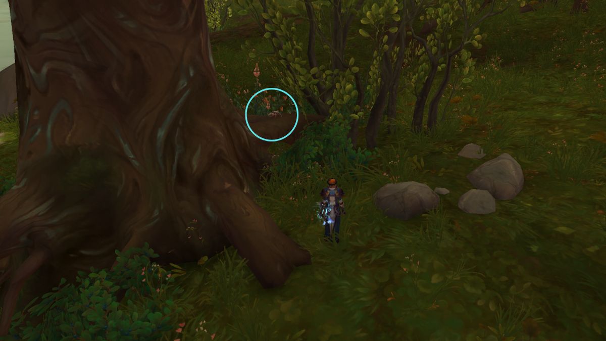 Cómo conseguir el tesoro del árbol en WoW The War Within