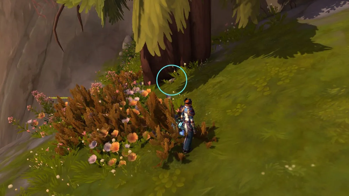 Cómo conseguir el tesoro del árbol en WoW The War Within