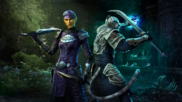 An elf and a cat wielding their powers as new companions in ESO